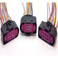 CHICOTE 14 VIAS AUXILIAR LINHA VW CHW - 9014.0001