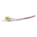 CHICOTE ETE 5464