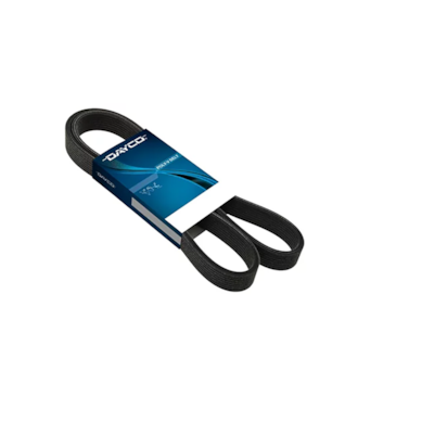 Product main image - 5472919b-f0ae-4b26-9982-071aaee1b434