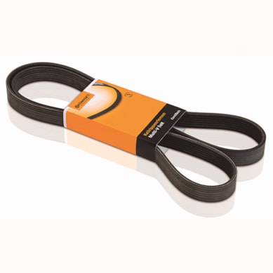 CORREIA MULTI V ELÁSTICA CONTITECH ECOSPORT 1.6 2012>2018 FOCUS 1.6 2010>2020 KA 1.5 2014>2020 FIESTA 1.5/1.6 2011>2020