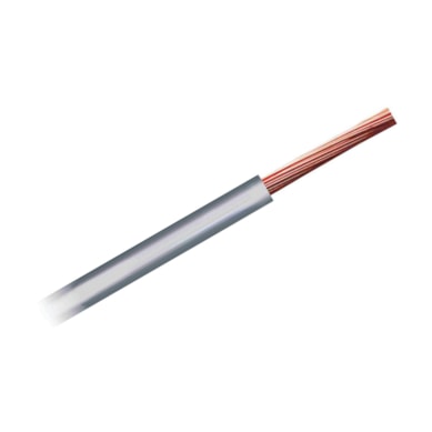 Product main image - 3f5e8693-0299-49d2-9b51-d990f922dd11