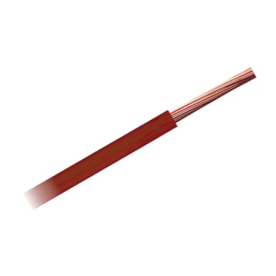 Product main image - c687c34b-867b-4169-8b27-f399b2763d7f