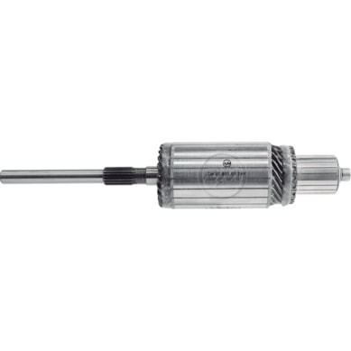 INDUZIDO Z.M. - ZM 83.831.01