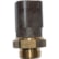 INTERRUPTOR TÉRMICO VW GOLF 1995-1996 ORIGINAL - INT0803