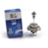 LÂMPADA EURO IMPORTS - TK7421