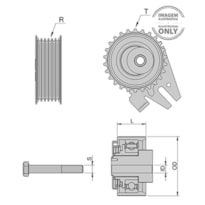 POLIA DA CORREIA  ASTRA ZAFIRA 8V 16V ZEN - 13380