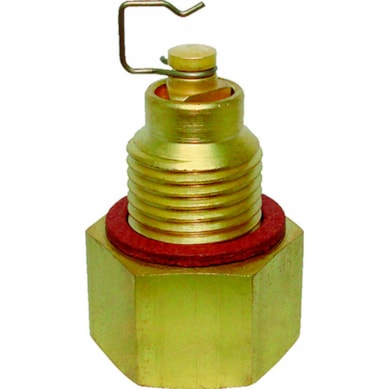 VÁLVULA DE AGULHA GM OPALA / CARAVAN VITON DS - 1067