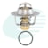 VÁLVULA TERMOSTÁTICA CUMMINS MOTOR SÉRIE B IGUAÇU 4011342-82
