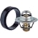 VÁLVULA TERMOSTÁTICA FORD F-350 2005-2011 MTE - VT342.82