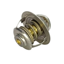 VÁLVULA TERMOSTÁTICA IGUAÇU - 401.1299-75 90°C